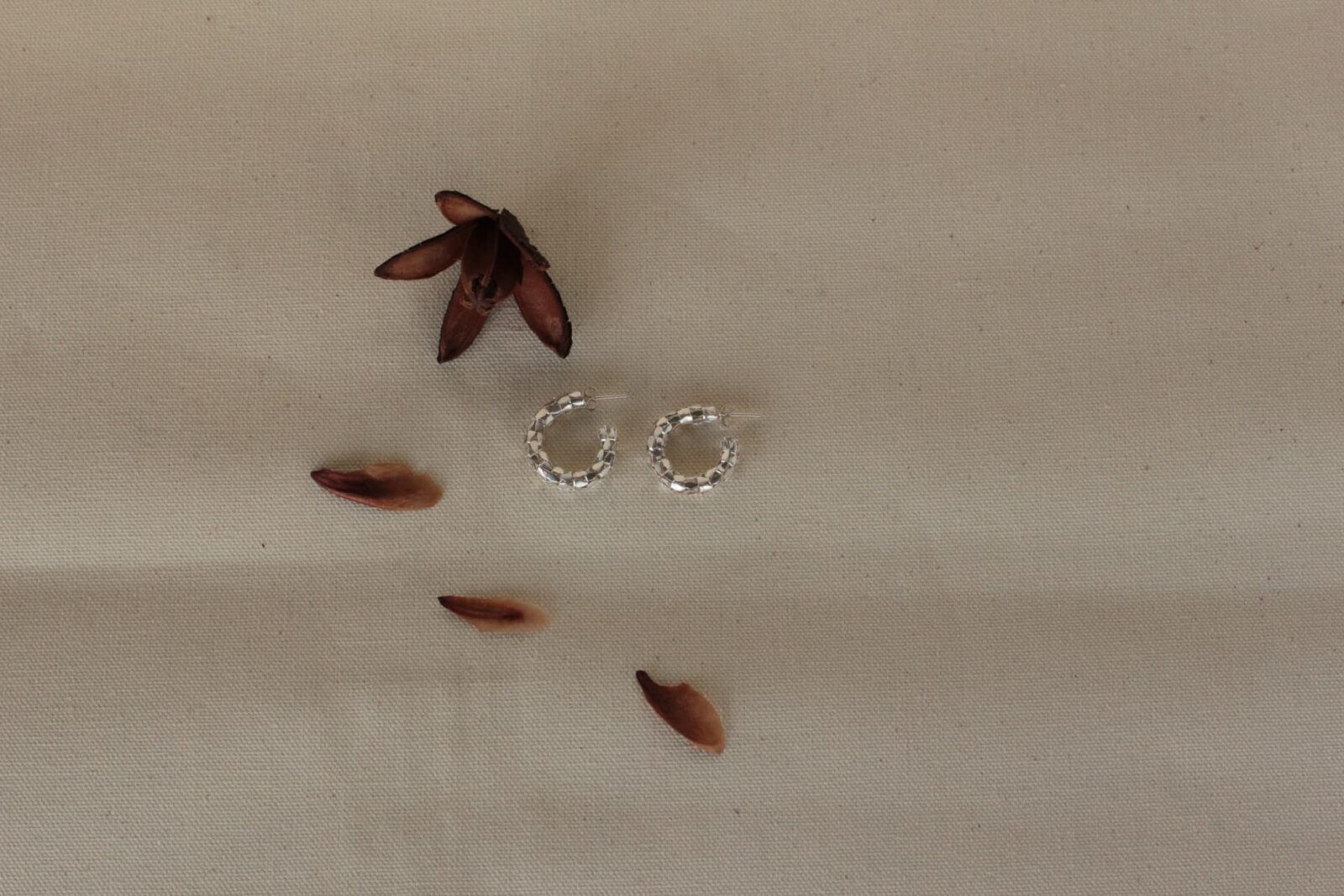 Par de aretes de aro texturados en plata sobre lino crudo, con semillas secas dispuestas en diagonal