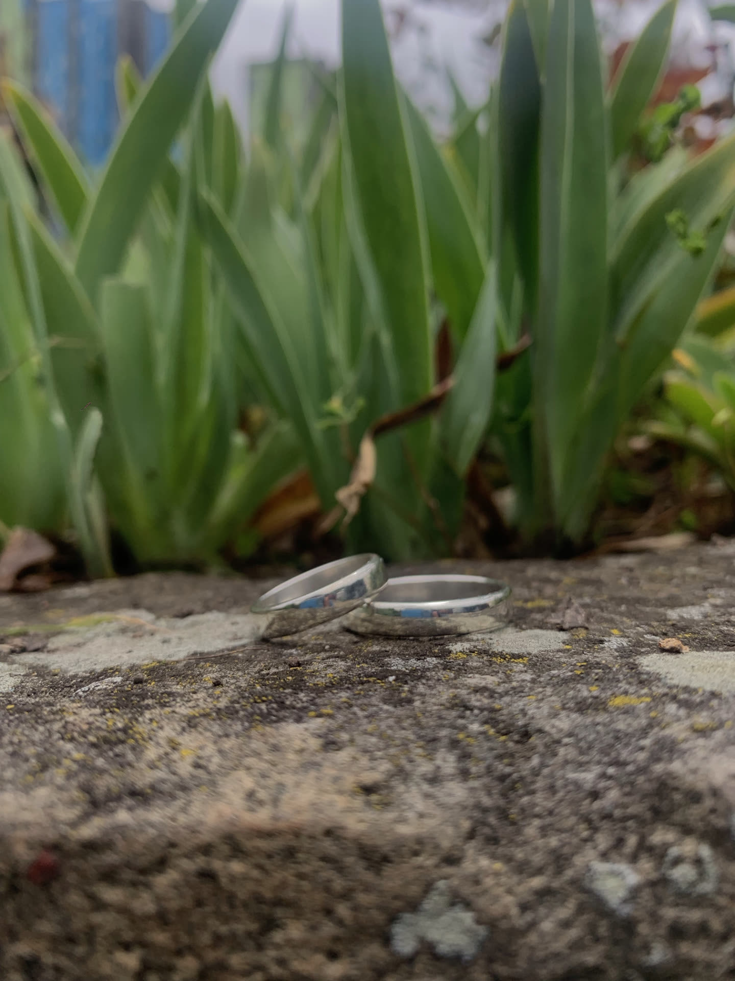 Par de argollas de matrimonio en metal pulido apoyadas sobre una piedra, con hojas verdes de fondo